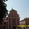 , violus