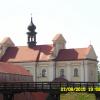 , violus
