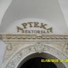 , violus