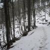 gdzieś na trasie, Roman Świątkowski