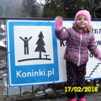 , violus