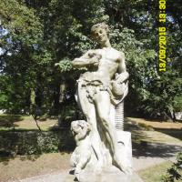 , violus