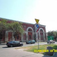 , violus