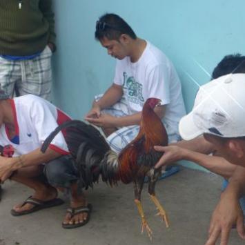 Tagbilaran, Dariusz ( Neronek ) Metel