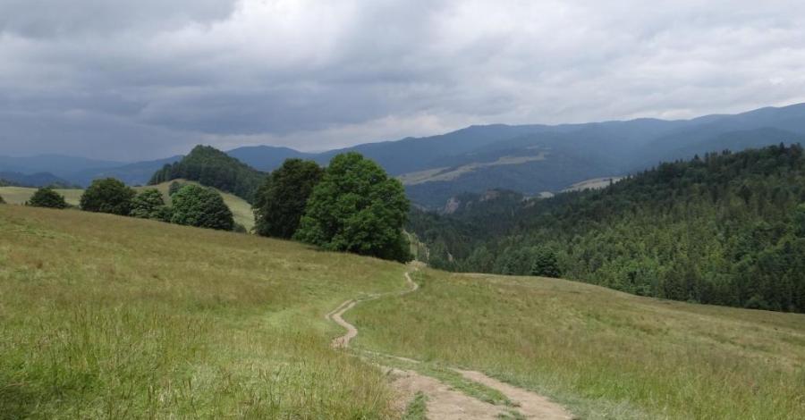 Wakacje 2015 - VII dzień (Wąwóz Homole - Szczyt Wysoka - Dębno - Łopuszna – Szczawnica) - zdjęcie