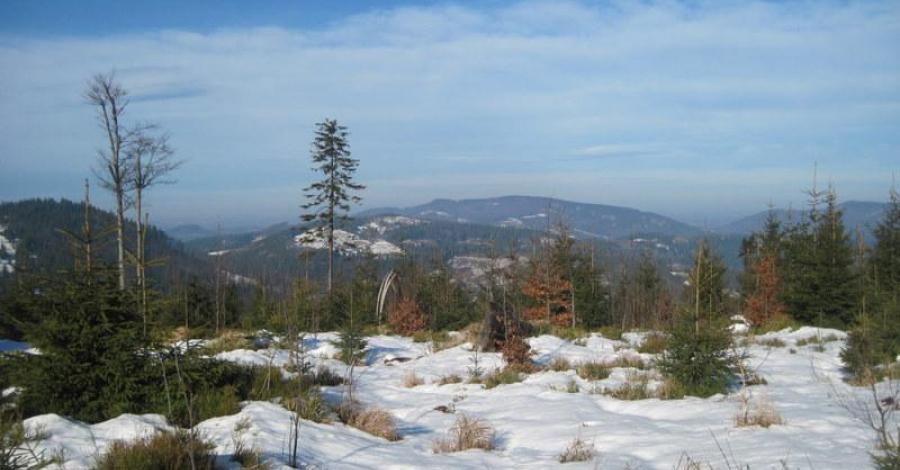 Beskid Śląski: Stożek Wielki 978mnpm (zimą). - zdjęcie
