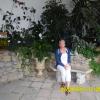 , violus