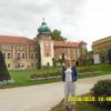 , violus