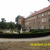 , violus