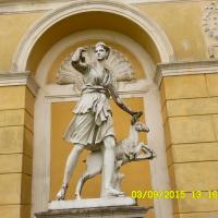 , violus