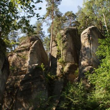 Jedno dniowy wyjazd do skalnego miasta Adrspach w Czechach - zdjęcie