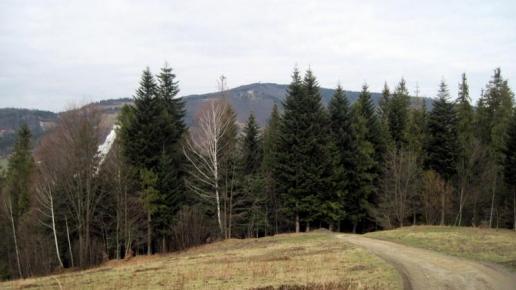 podejście na Skolnity widok na Wlk. Czantorie, Roman Świątkowski