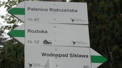 , violus