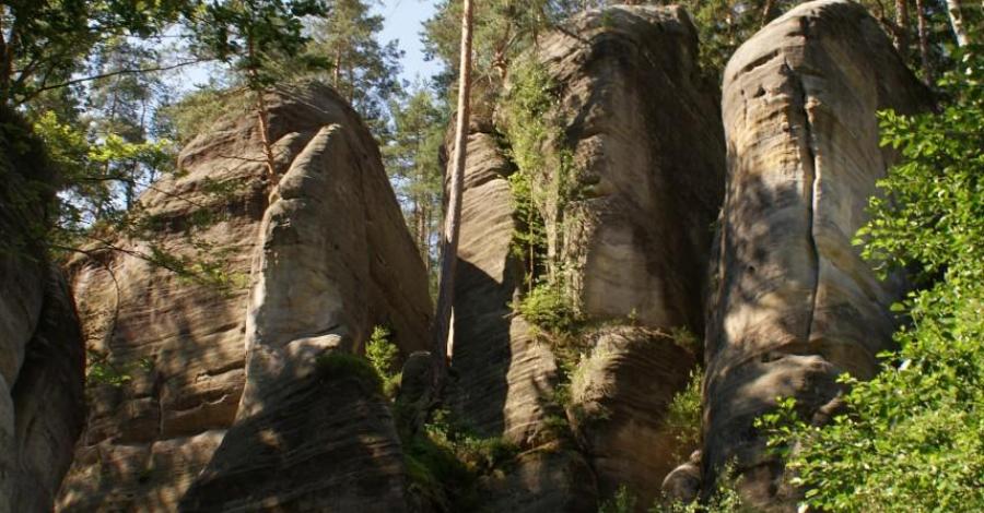 Jedno dniowy wyjazd do skalnego miasta Adrspach w Czechach - zdjęcie