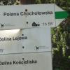 , violus