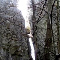 , Roman Świątkowski
