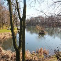 Staw Grota