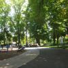 Park w okolicach twiedzy, Tadeusz Walkowicz