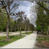 Ciechocinek - Park Zdrojowy, Marcin_Henioo