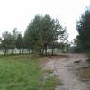, glanaco