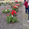 , marian