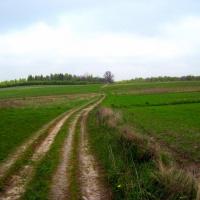gdzieś na szlaku Piaskowa Skał- Ojców, Roman Świątkowski