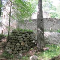 , marian