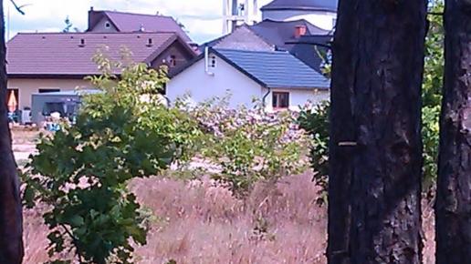 Tuchola-Rudzki Most, glanaco