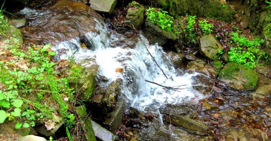 Beskid Mały: Skała Czarownic 560mnpm, Magurka Wilkowicka 909mnpm. - zdjęcie