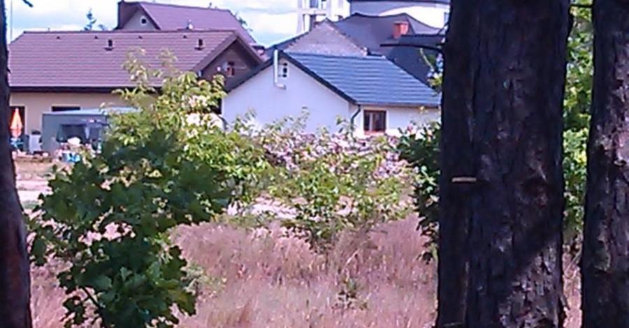 Akwedukt w Fojutowie-Wielki kanal Brdy. - zdjęcie