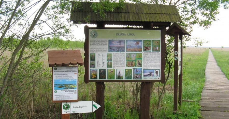 Biebrzański Park Narodowy - Carska Droga - zdjęcie