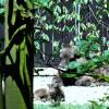 , Magdalena