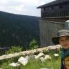 , Tymon