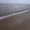 , marian