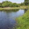 Jezioro Krasowe w Kusiętach