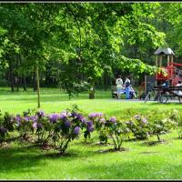Wejherowo - Park Miejski, Marcin_Henioo