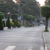 , marian