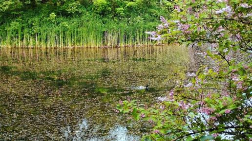 park poniatowskiego, Magdalena