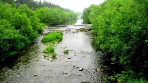 rzela Brennica, Roman Świątkowski