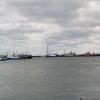 port we Władysławowie, wienie