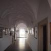 Do Muzeum Fotografii, Tadeusz Walkowicz