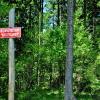 , kubarek23
