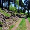 , kubarek23