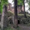 Stary Zamek, wienie