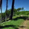 , kubarek23