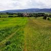 , kubarek23