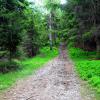, kubarek23