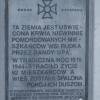 Pomnik mieszkańców Rudki, Tadeusz Walkowicz