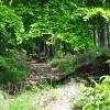, kubarek23