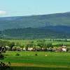 , kubarek23